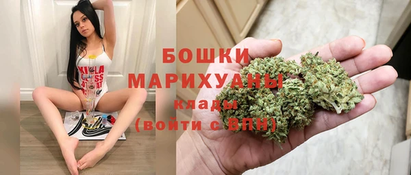 крисы Бронницы