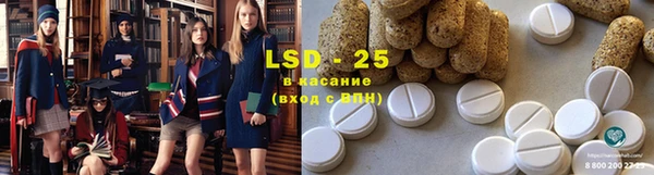 хмурый Бородино
