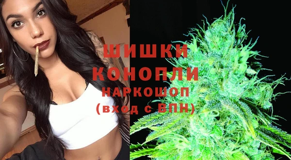 крисы Бронницы