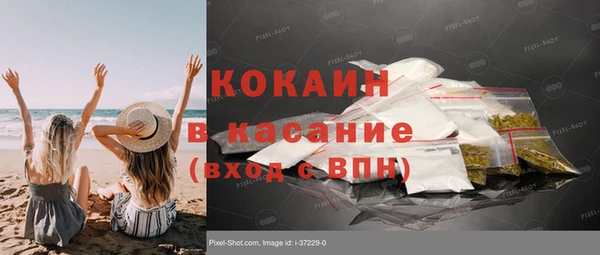 хмурый Бородино