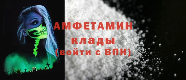 крисы Бронницы