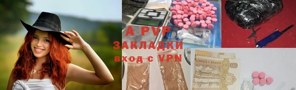 хмурый Бородино