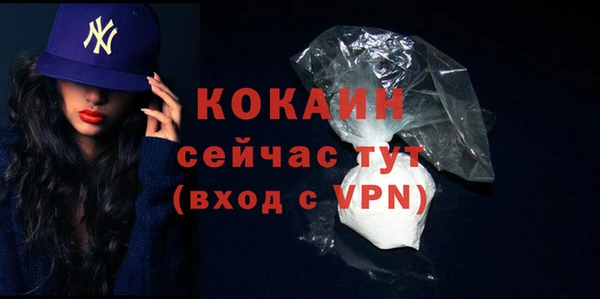 хмурый Бородино