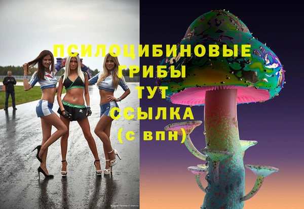 хмурый Бородино