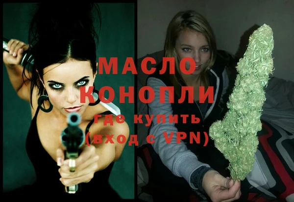 крисы Бронницы