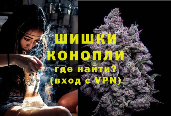 крисы Бронницы
