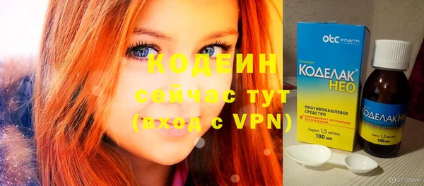 хмурый Бородино