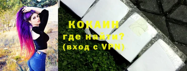 хмурый Бородино