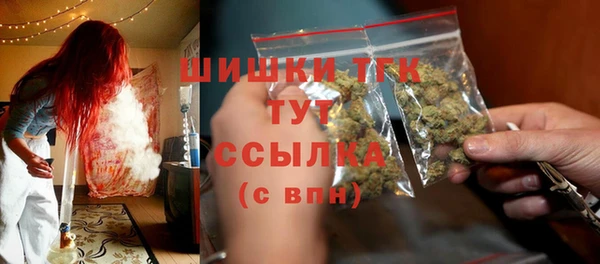 apvp Богданович