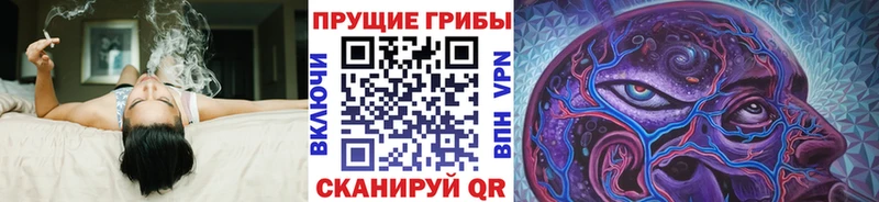 Купить закладки Камызяк Галлюциногенные грибы MAGIC MUSHROOMS