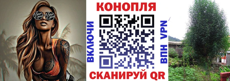 Купить закладки  Камызяк  Каннабис White Widow 